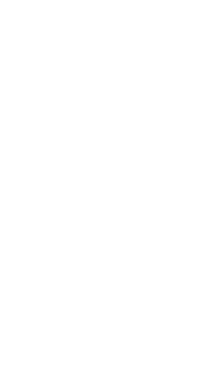 Vector (3)